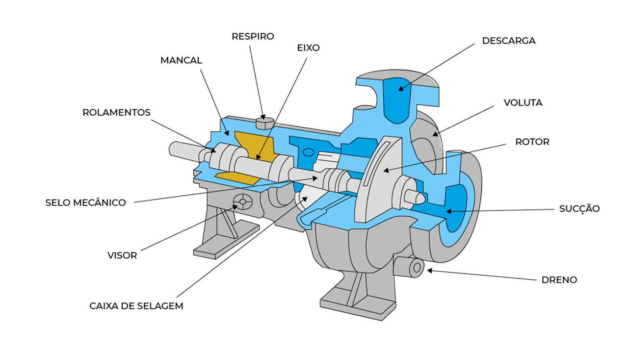 Estrutura de uma bomba centrífuga: descarga, voluta, rotor, sucção, dreno, caixa de selagem, visor, selo mecânico, rolamentos, mancal, respiro e eixo. 